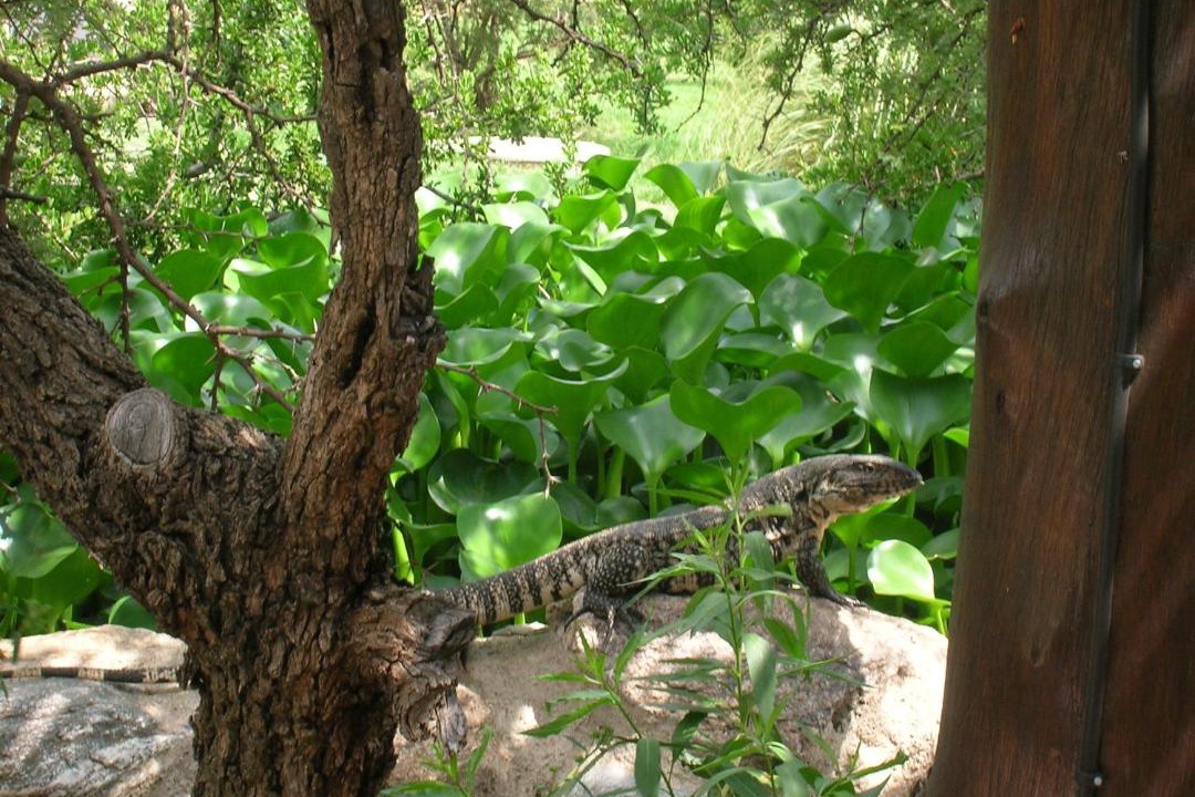 Photo of Others in Cerro de Oro