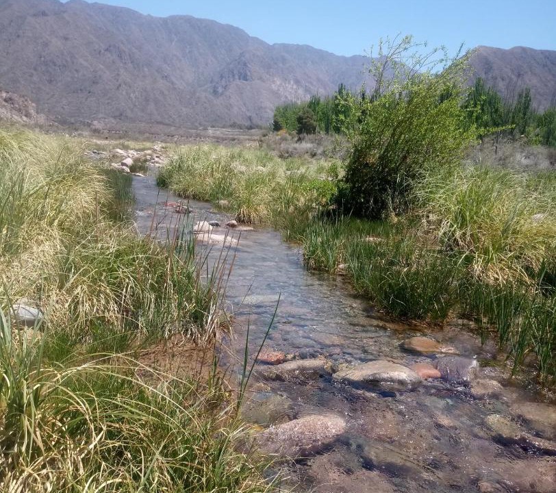 Photo of Others in Cacheuta