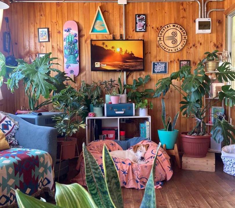 Photo of Livingroom in Navidad