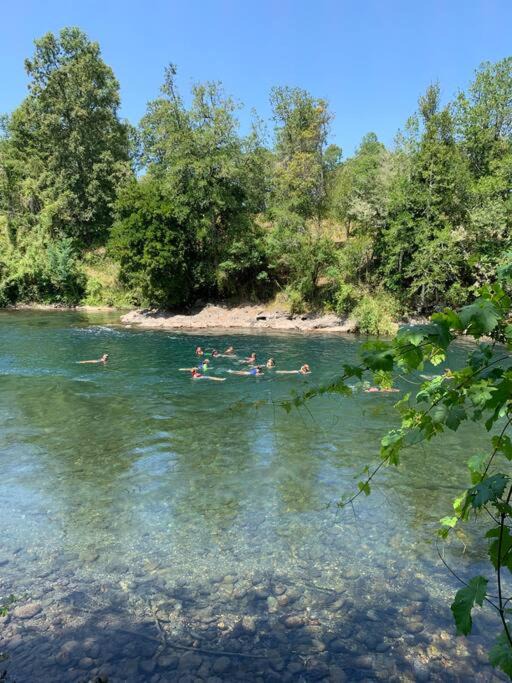 Photo of Others in Panguipulli