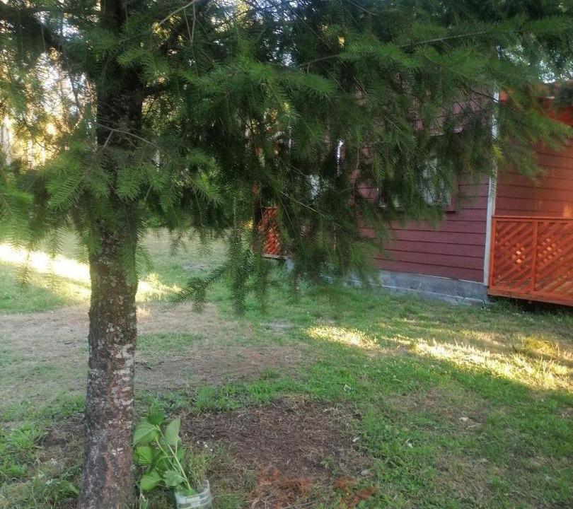 Photo of Outdoor in Freire