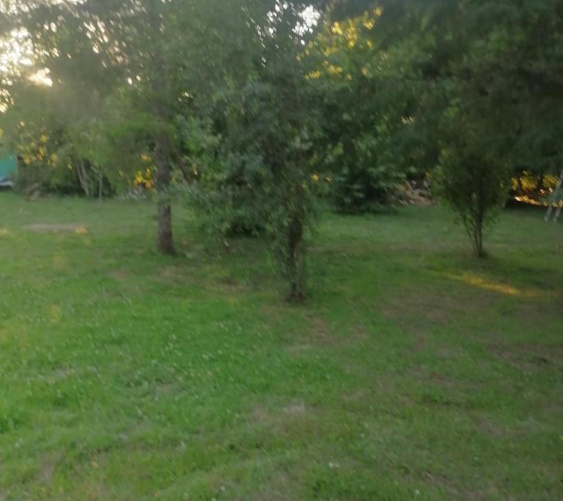 Photo of Others in Freire
