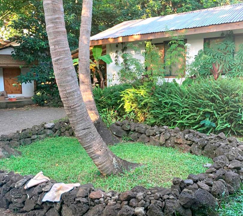 Photo of Others in Hanga Roa
