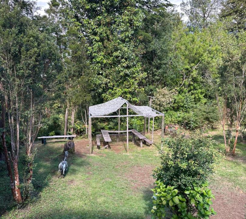 Photo of Others in Hornopiren National Park