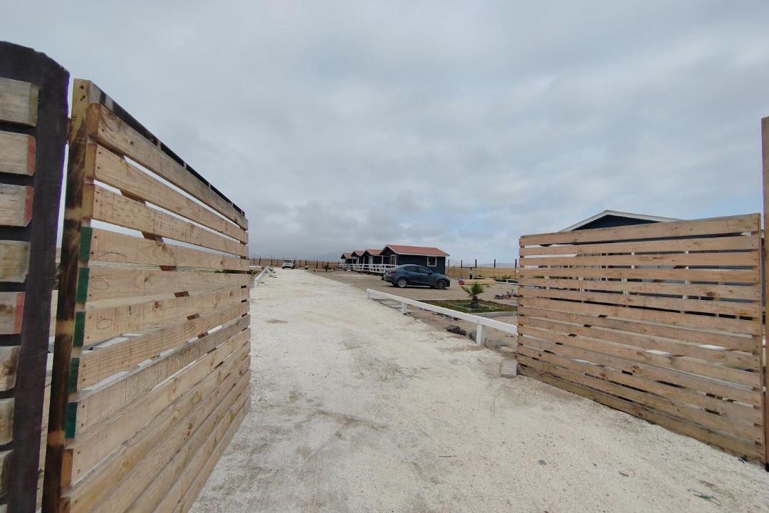 Photo of Others in Punta de Choros