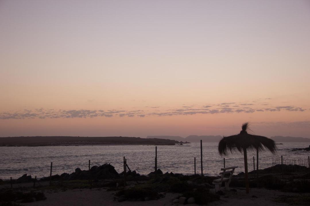 Photo of Outdoor in Punta de Choros