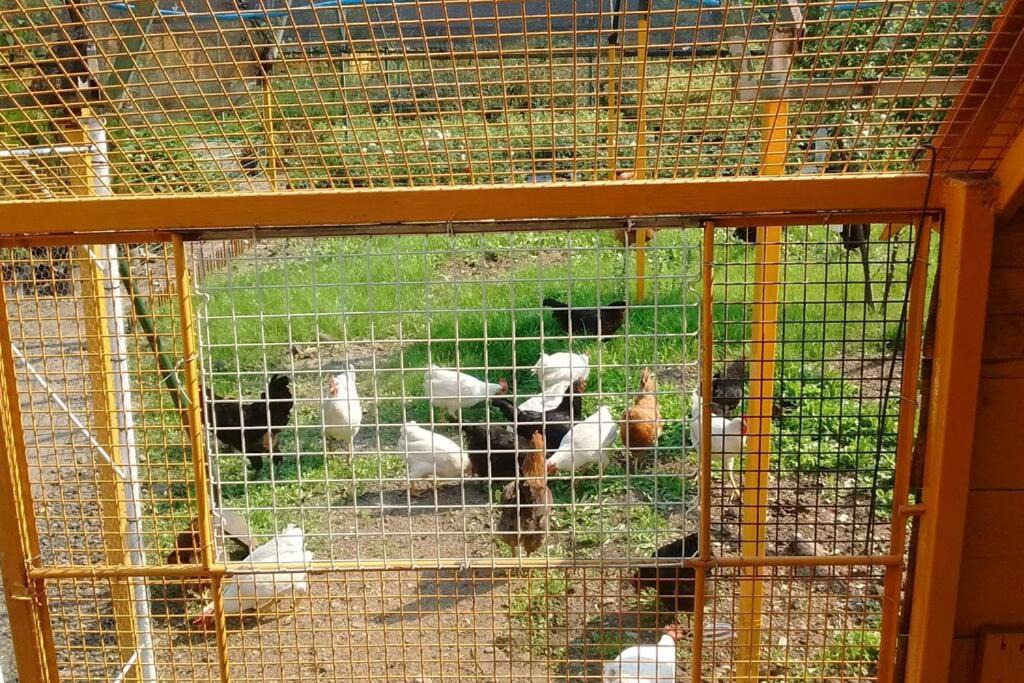 Photo of Others in La Granja