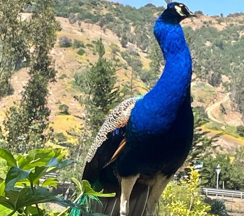 Photo of Others in Santa Cruz