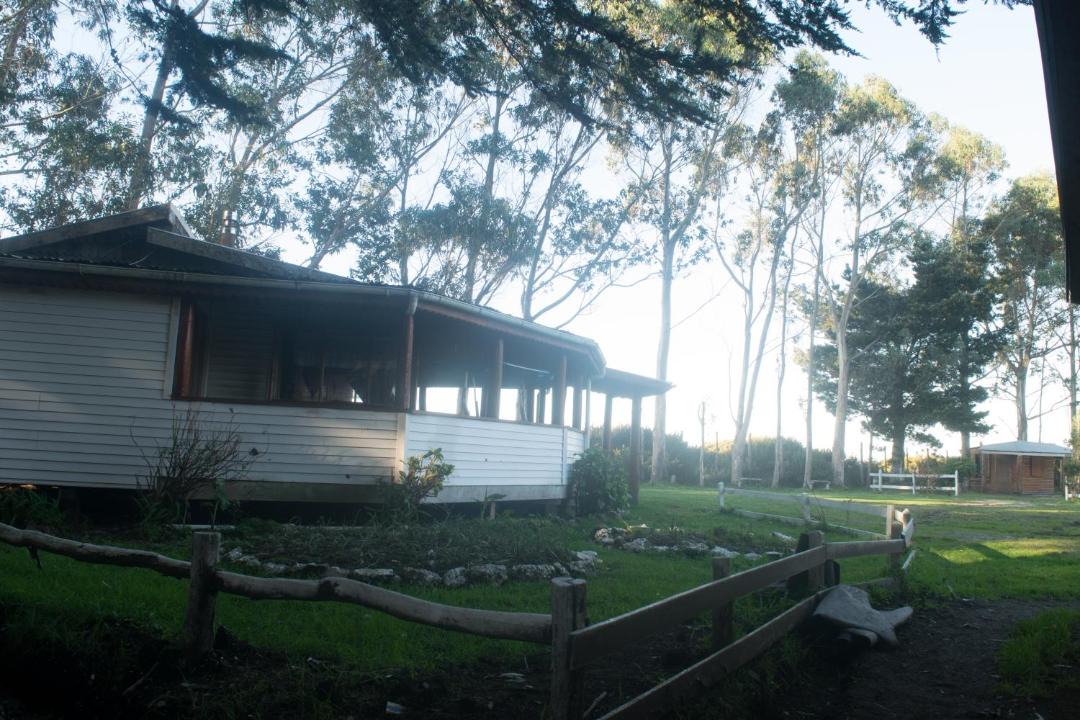 Photo of Others in Ancud