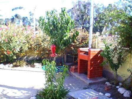 Photo of Others in Pichidangui