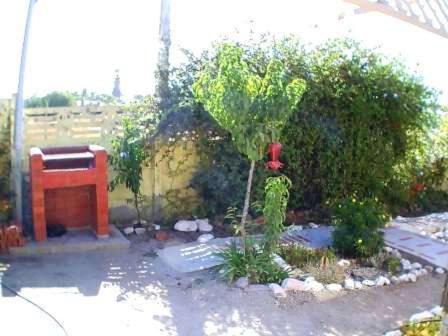 Photo of Others in Pichidangui