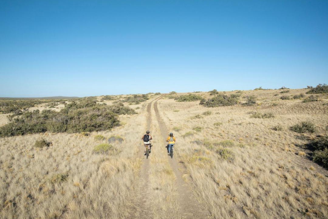 Photo of Others in Camarones