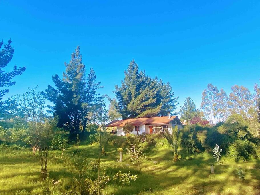 Photo of Others in Algarrobo