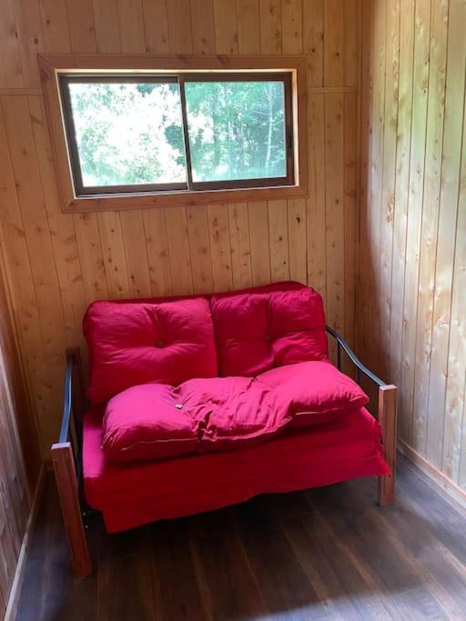 Photo of Others in Pucon