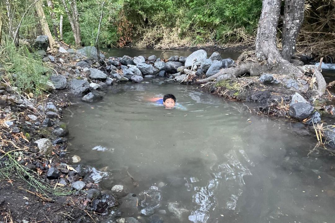Photo of Others in Pucon