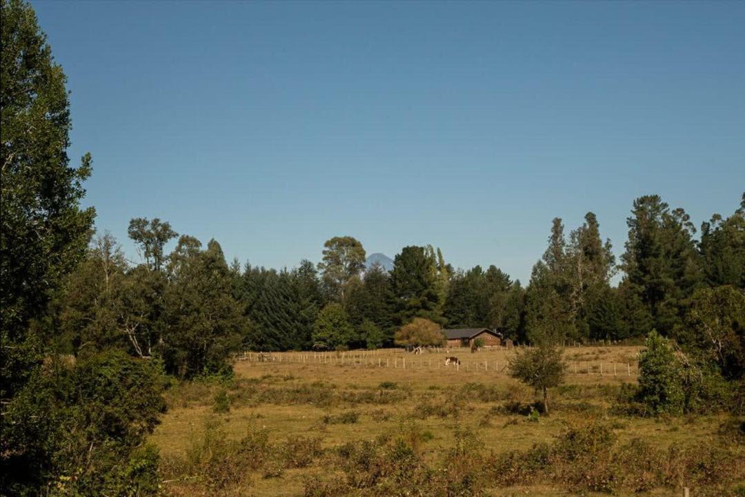 Photo of Others in Villarrica