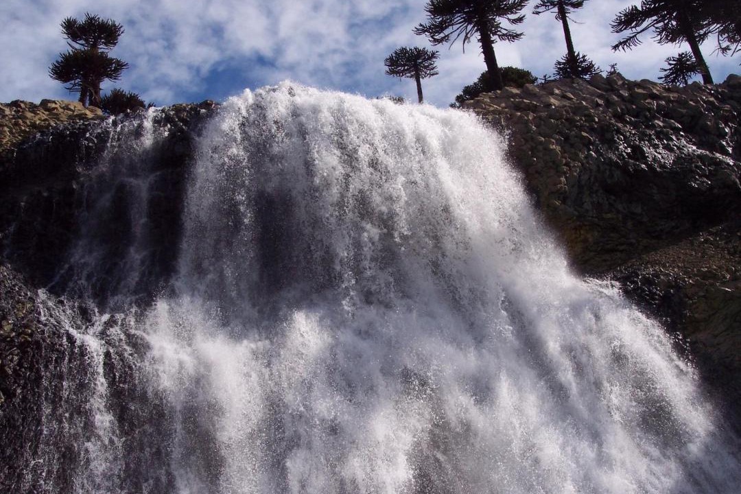 Photo of Others in Copahue