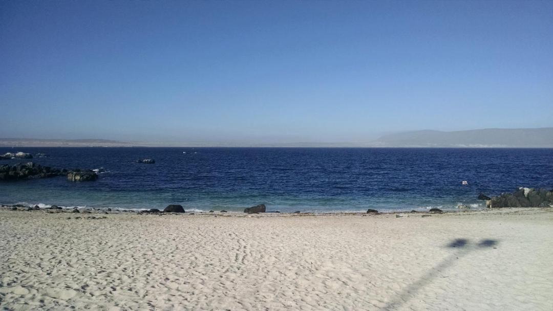Photo of Outdoor in Bahia Inglesa