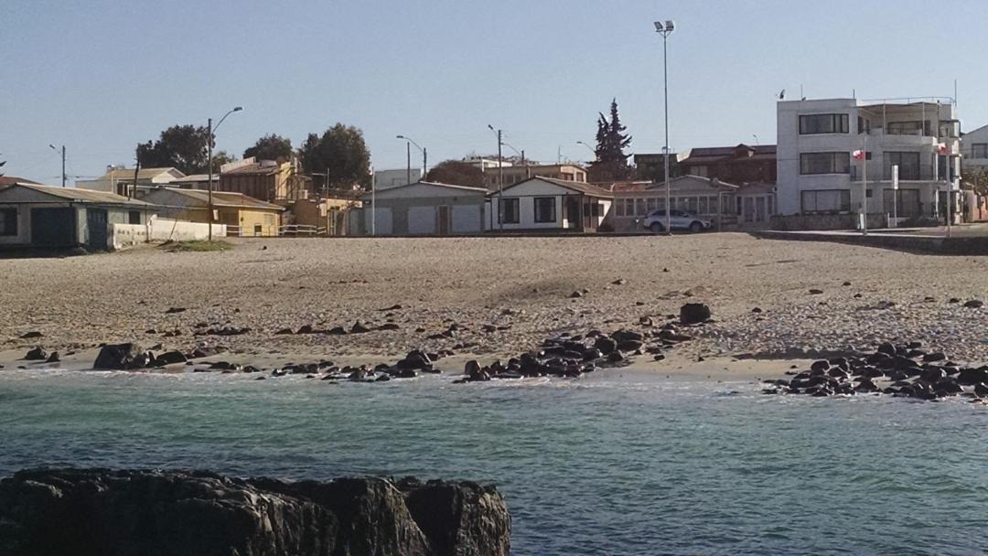 Photo of Others in Bahia Inglesa