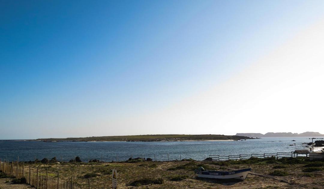 Photo of Outdoor in Punta de Choros