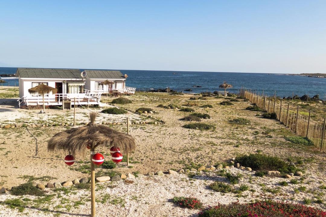 Photo of Others in Punta de Choros