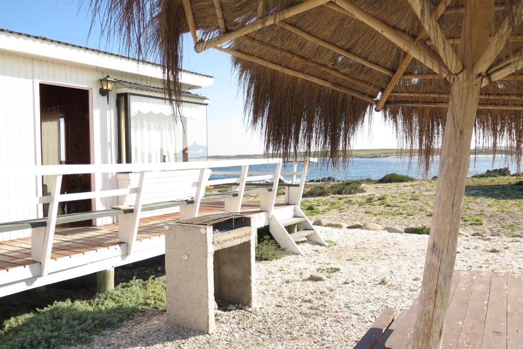 Photo of Others in Punta de Choros