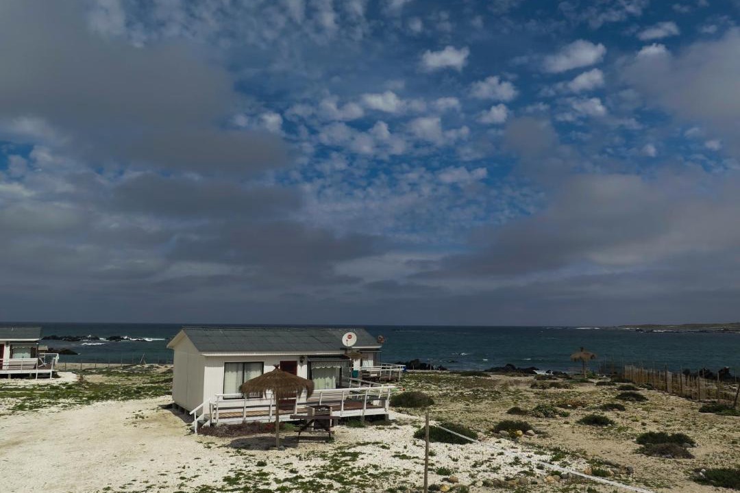 Photo of Others in Punta de Choros