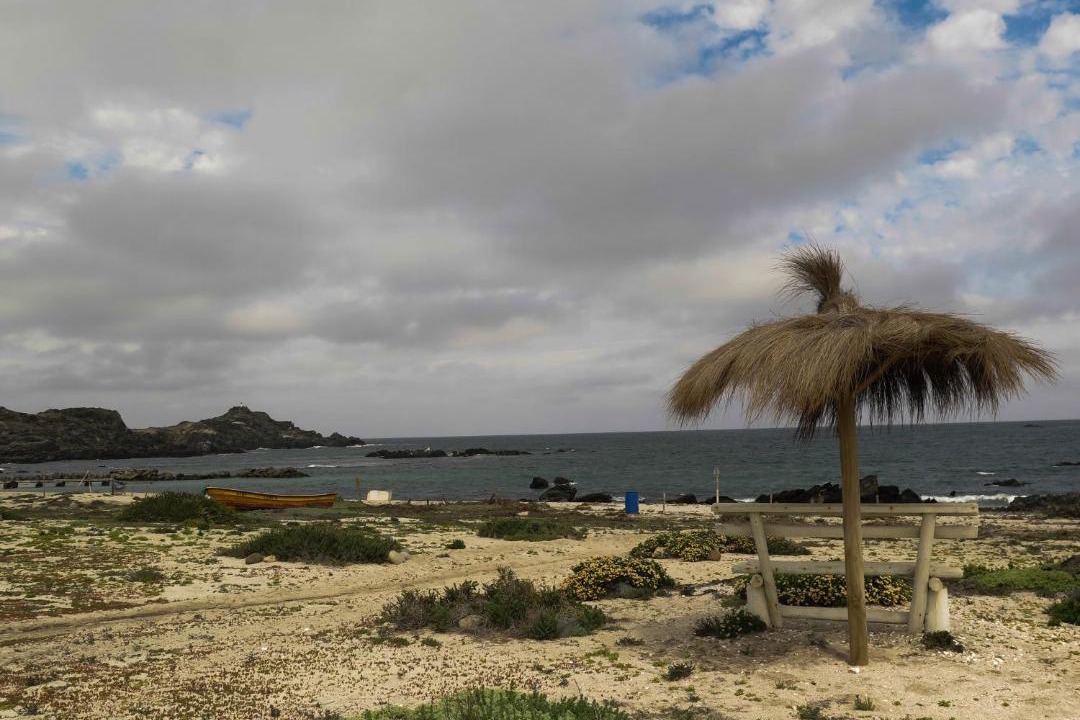 Photo of Others in Punta de Choros