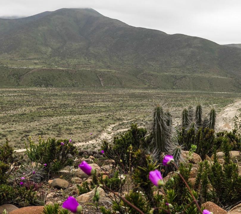 Photo of Outdoor in Punta de Choros