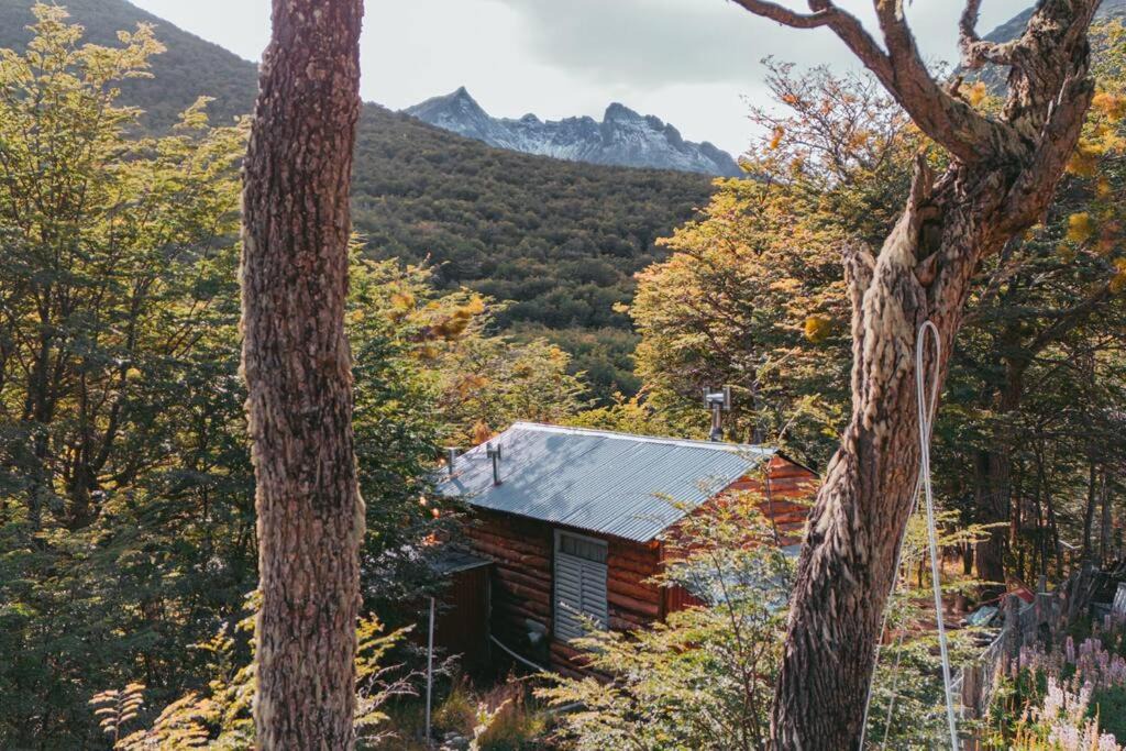 Photo of Others in Province of Tierra del Fuego