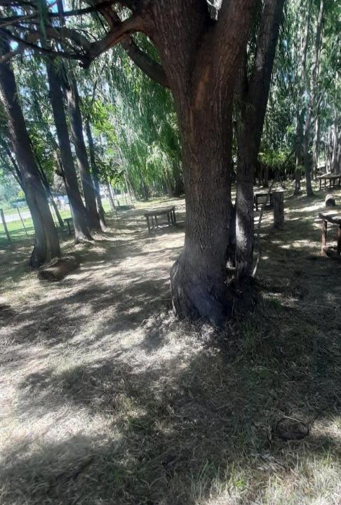 Photo of Others in Tunuyan