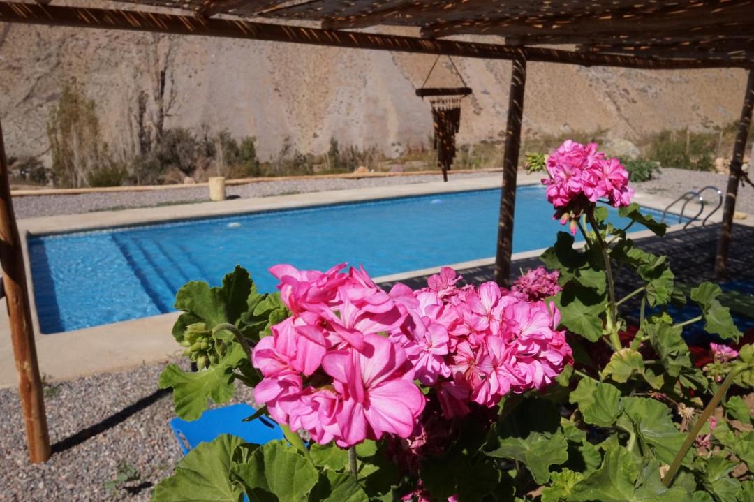Photo of Outdoor in Alcoguaz