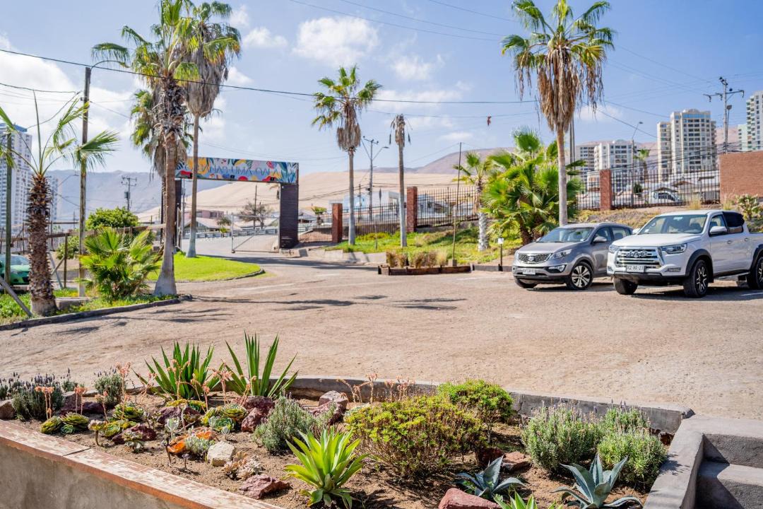 Photo of Others in Iquique