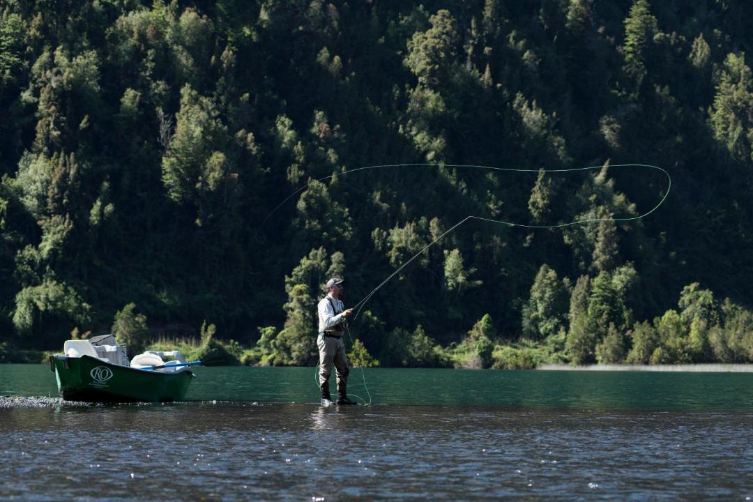 Photo of Others in Lago Ranco