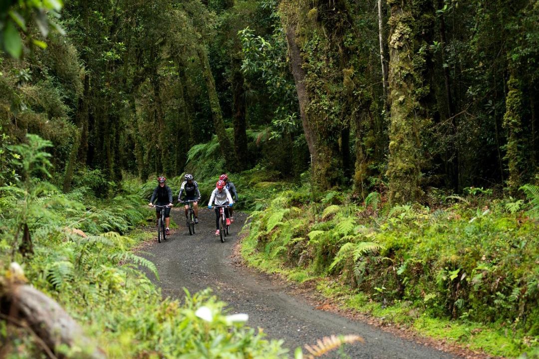 Photo of Others in Lago Ranco