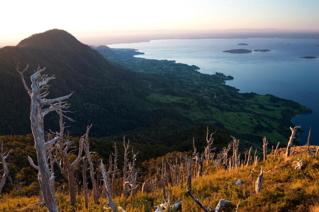 Photo of Others in Lago Ranco