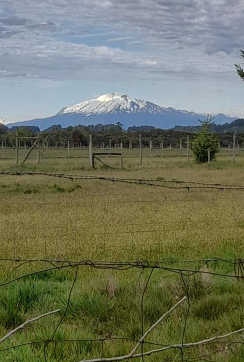 Photo of Others in Puerto Varas