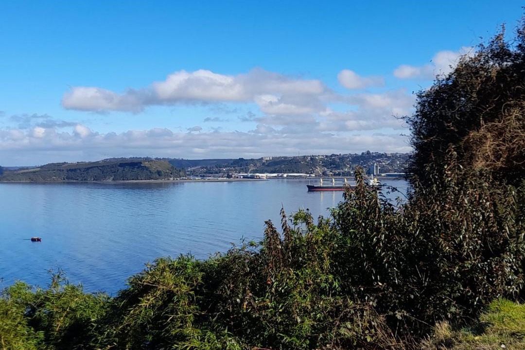 Photo of Outdoor in Puerto Varas