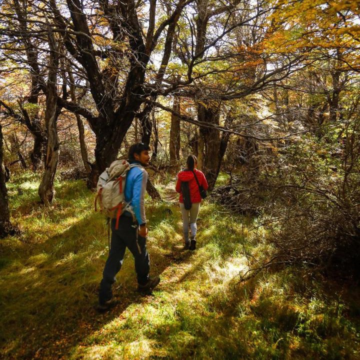 Photo of Others in El Chalten