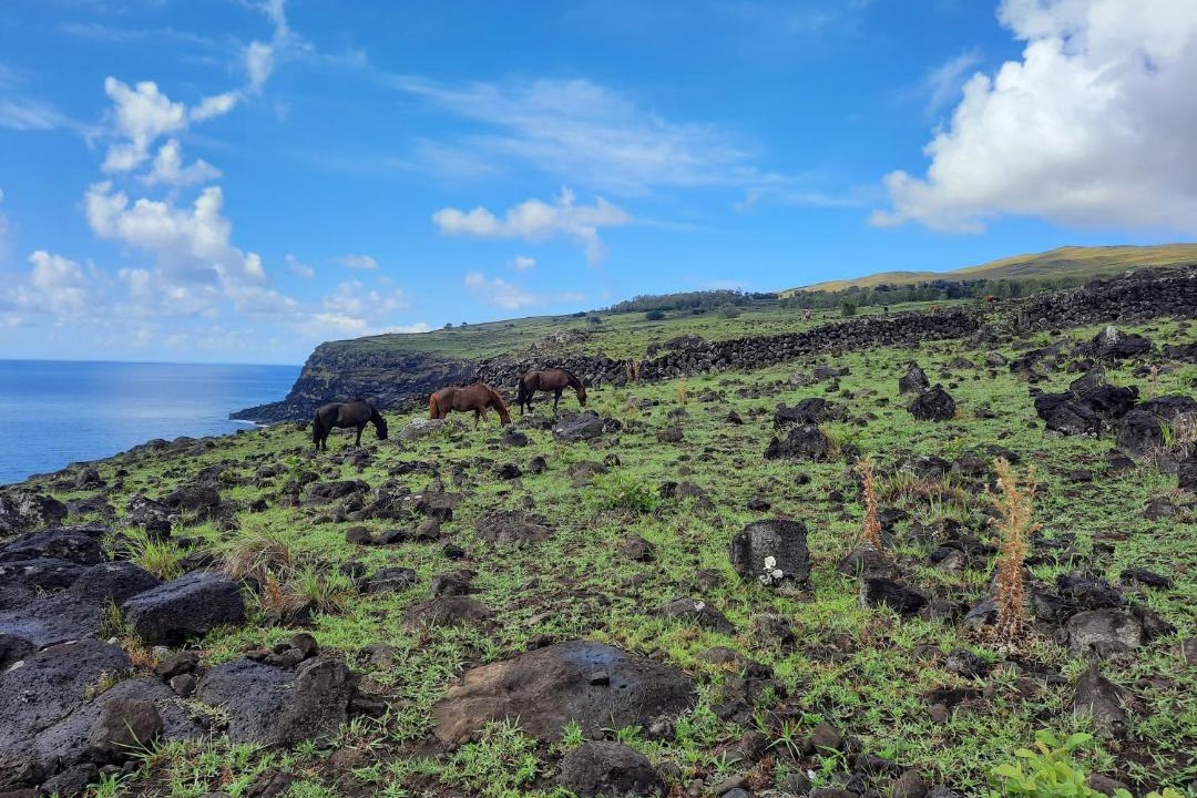 Photo of Others in Hanga Roa