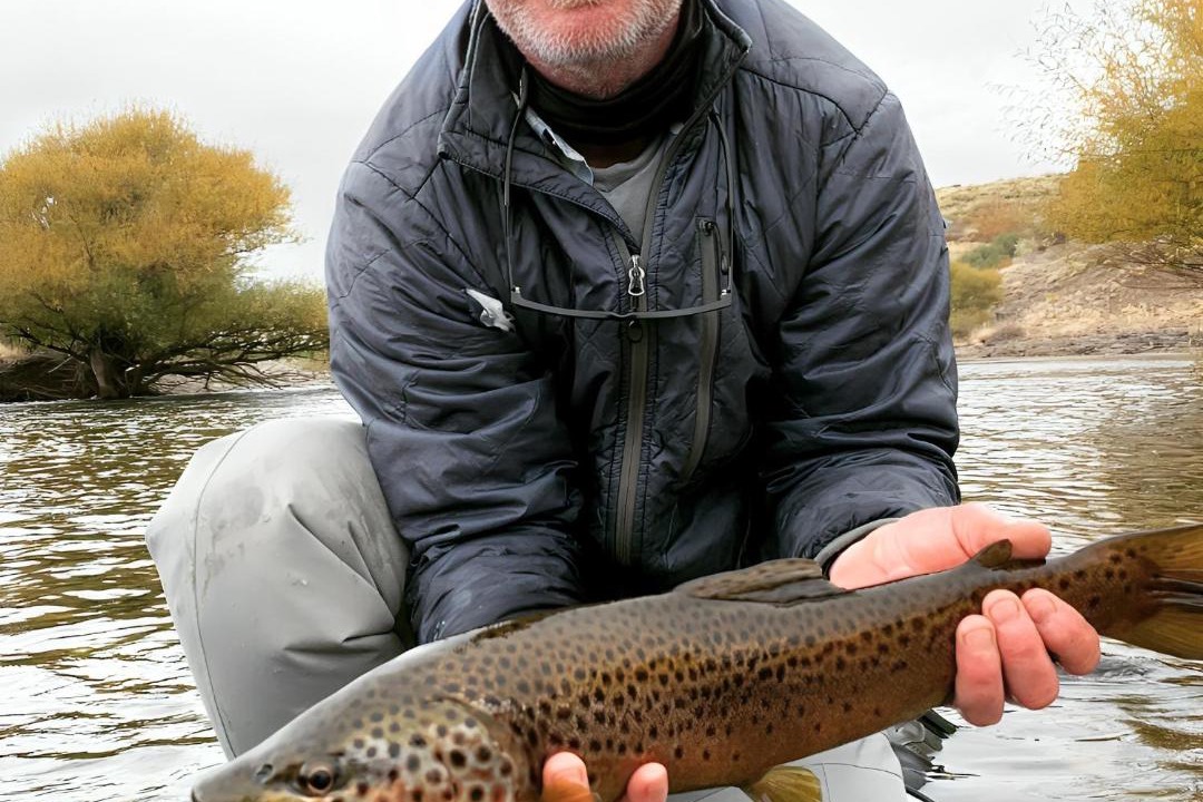 Photo of Others in Junin de los Andes
