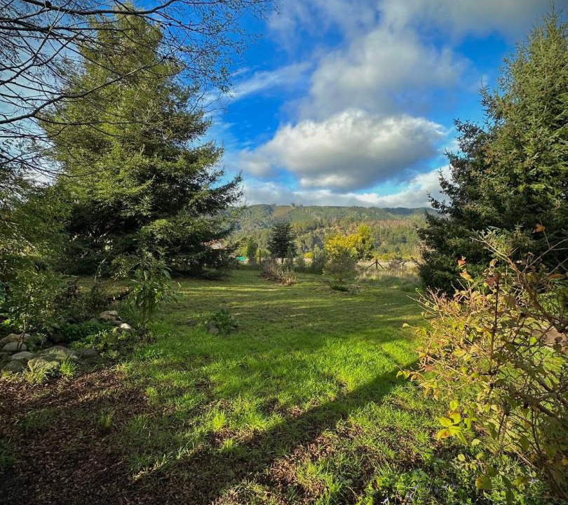 Photo of Outdoor in Canete