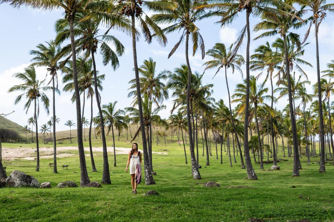 Photo of Others in Hanga Roa