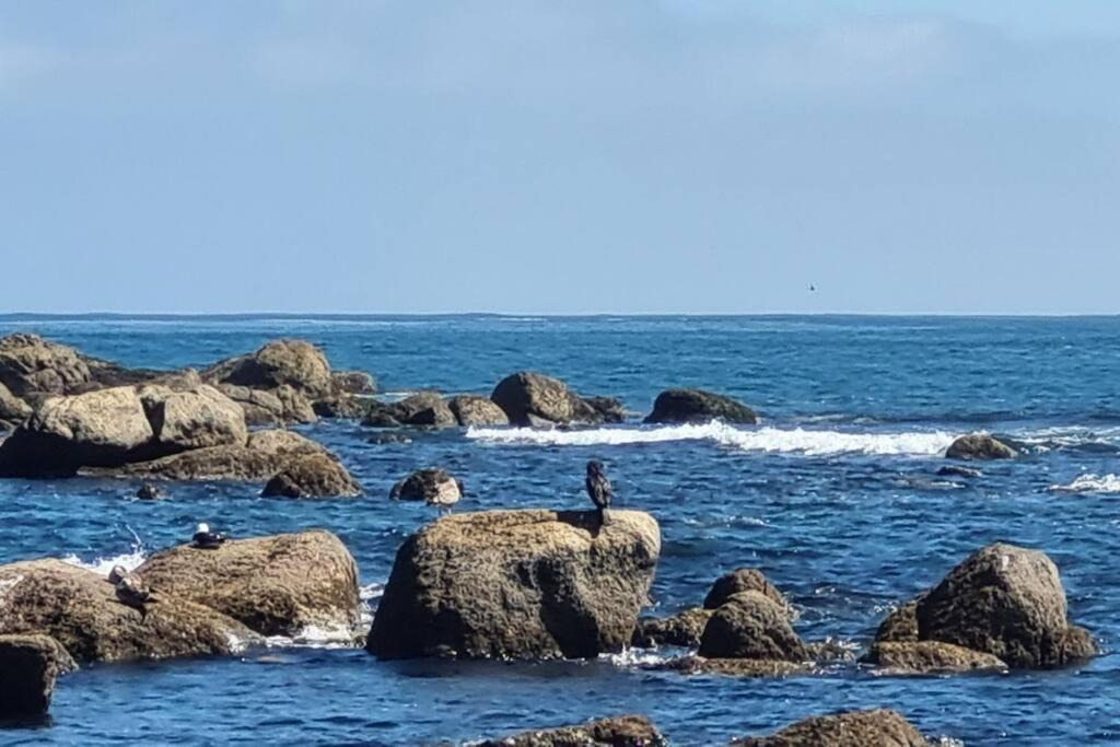Photo of Others in Algarrobo