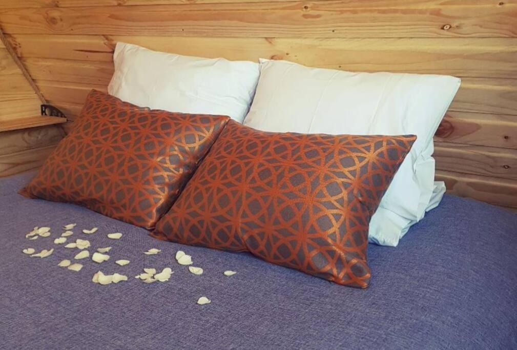 Photo of Bedroom in Rauco