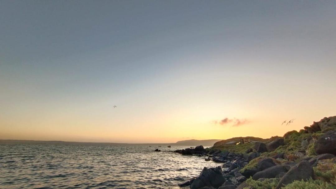 Photo of Others in Bahia Inglesa