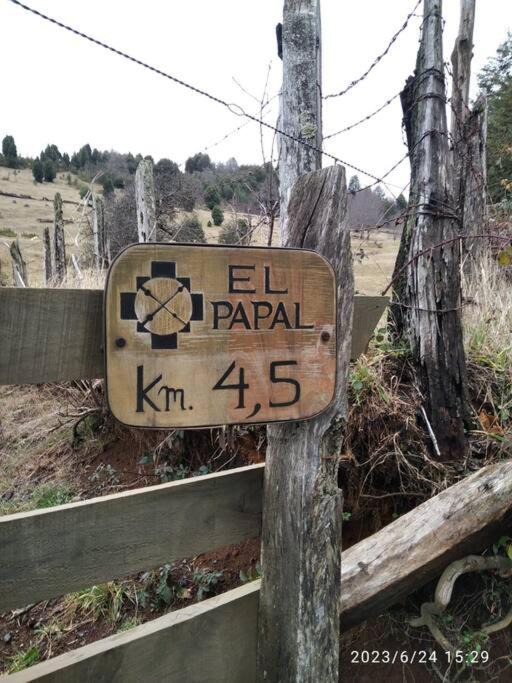Photo of Others in Pucon