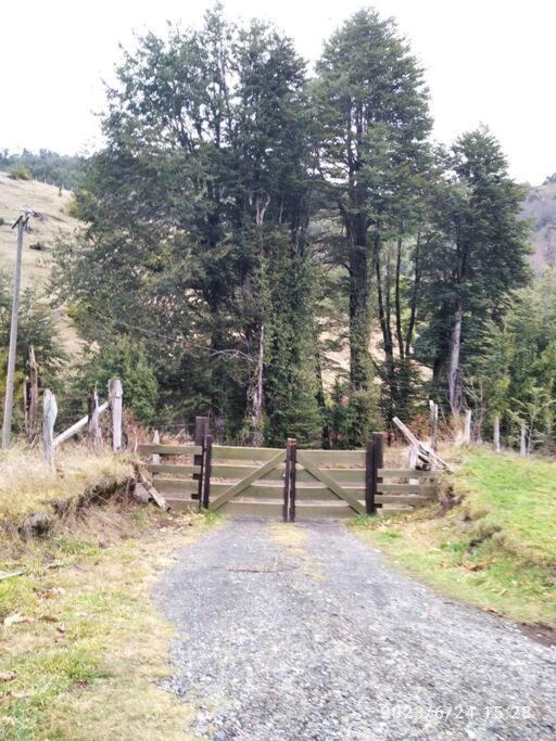 Photo of Others in Pucon