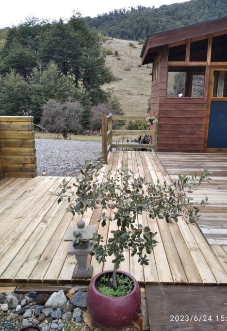 Photo of Others in Pucon