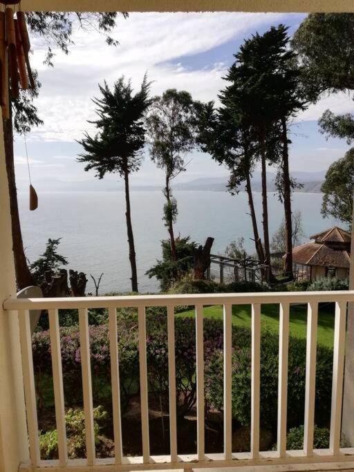 Photo of Patio Balcony in Caleta Horcon